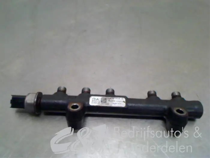 Galerij (Injectie) Ford Transit Connect