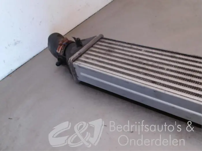Ladeluftkühler Fiat Doblo