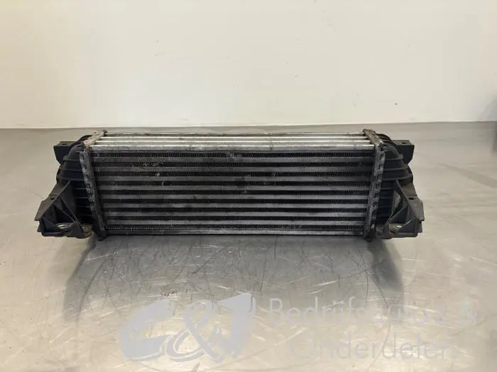 Intercooler Ford Transit Connect